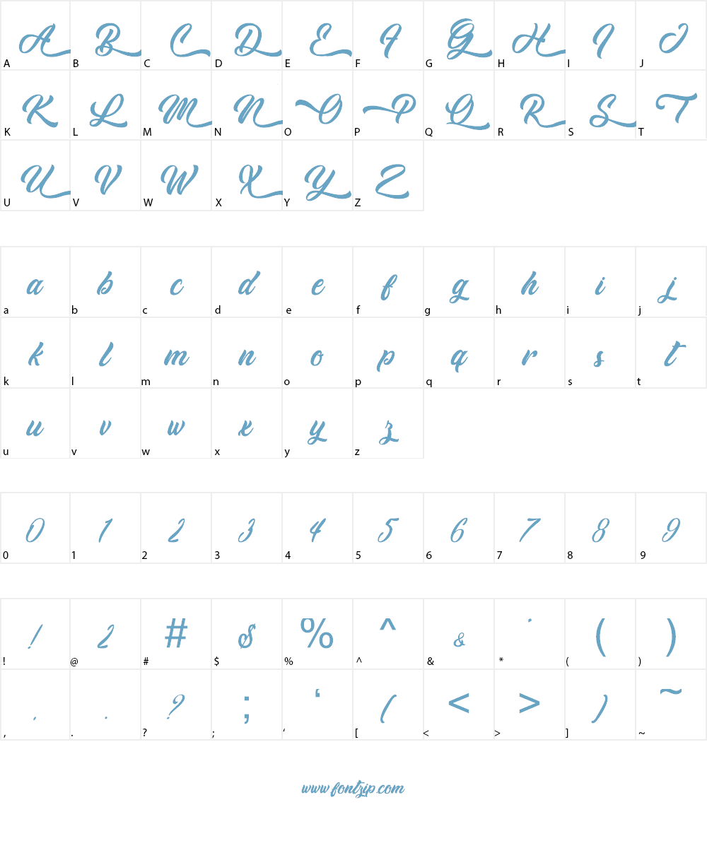 Cheetah Kick - Personal Use Font Character